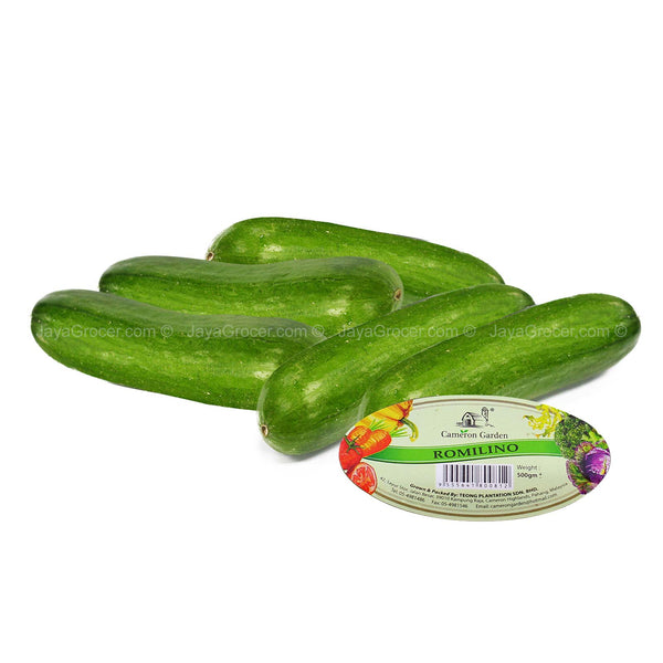 Cameron Garden Romilino Cucumber (Malaysia) 500g (highest price)