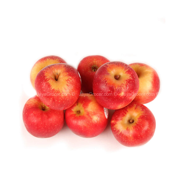 Queen Apple (New Zealand) 8pcs/pack