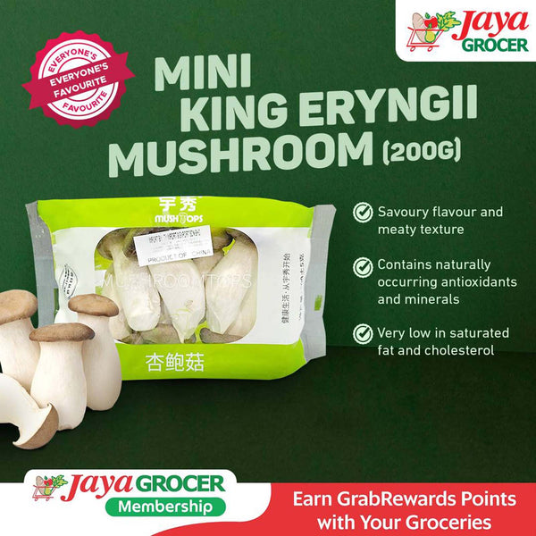TY Mini King Eryngii Mushroom (China) 200g (highest price)