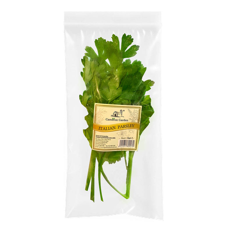 Cameron Garden Italian Parsley Herb (Malaysia) 10g