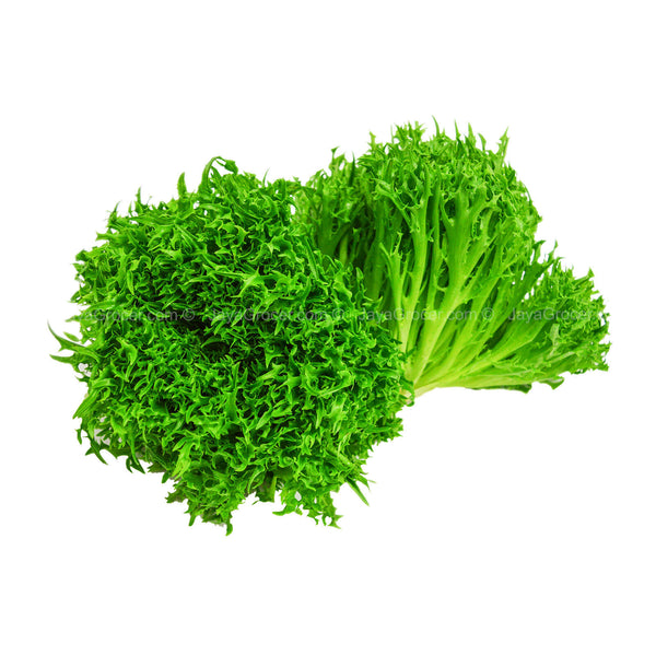 Genting Garden Curly Crisp Lettuce (Malaysia) 180g (highest price)