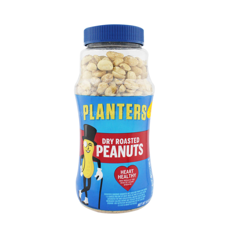 Planters Dry Roasted Peanuts 453g