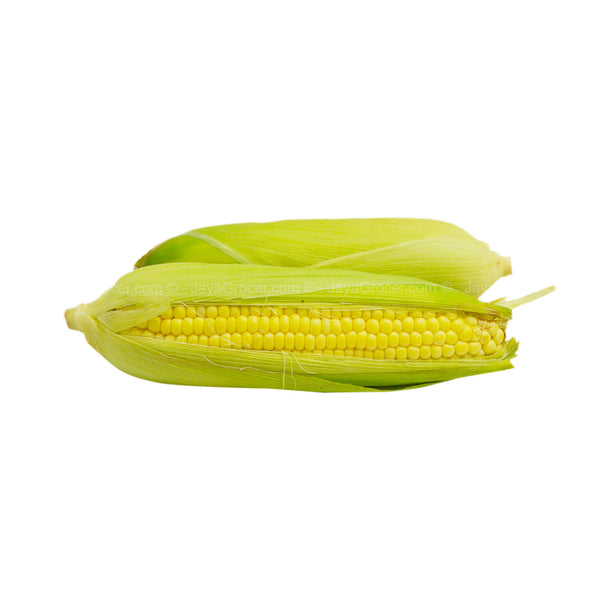 Sweet Corn Yellow (Malaysia) 2pcs/pack