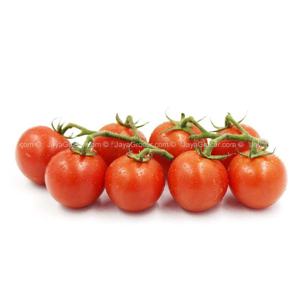 Genting Garden Cocktail Truss Tomato 8pcs/pack (highest price)