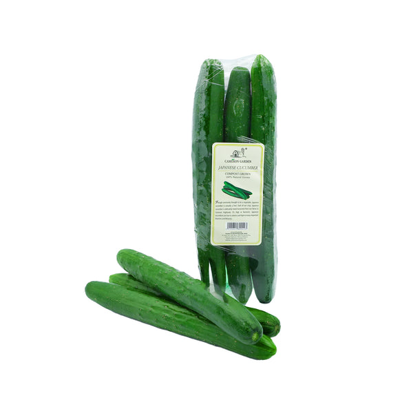 Cameron Garden Japanese Cucumber (Kyuri) (Malaysia) 3pcs/pack