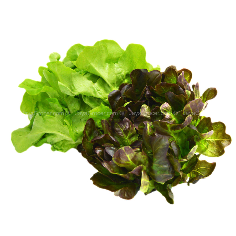 Genting Garden Lettuce Red Lettuce/Green Oak Leaf 1pack