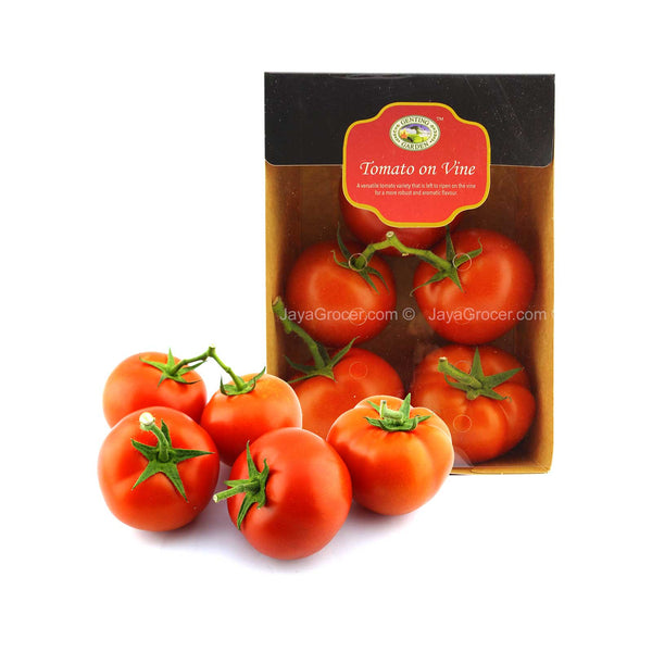Genting Garden On-Vine Tomato (Malaysia) 550g (highest price)