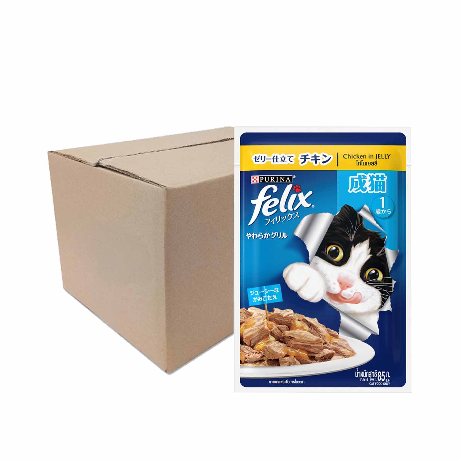 Felix Adult Chicken Cat Food Pouch 70g