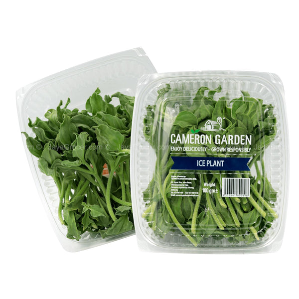 Cameron Garden Ice Plant Salad (Malaysia) (Malaysia) 100g (highest price)