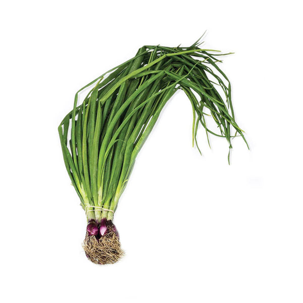 Cameron Garden Spring Onion (Daun Bawang)(Malaysia) 80g