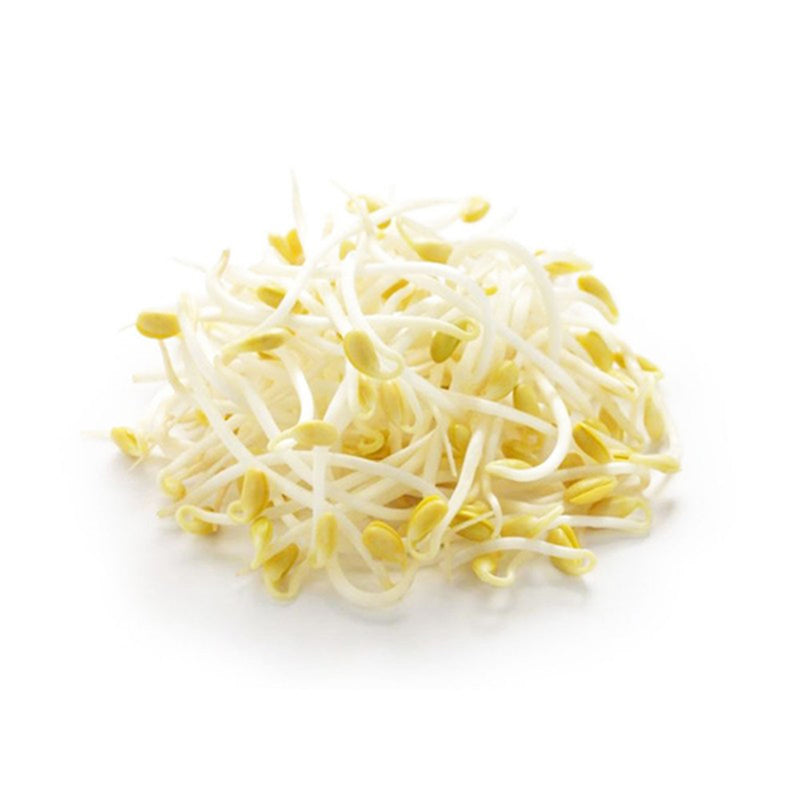 Favric Trading Bean Sprout (Taugeh) (Malaysia) 500g