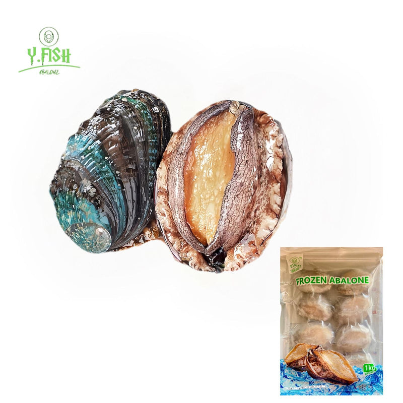 Ys Abalone With Shell 8pcs/pack