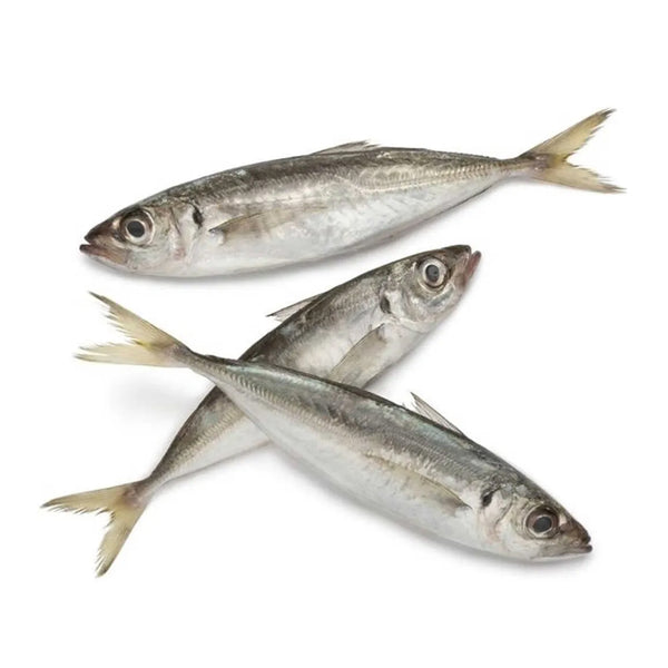 Ikan Sardin 500g/pack