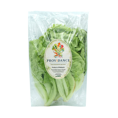 Providance Lettuce Italy (Pesticide Free) 250g
