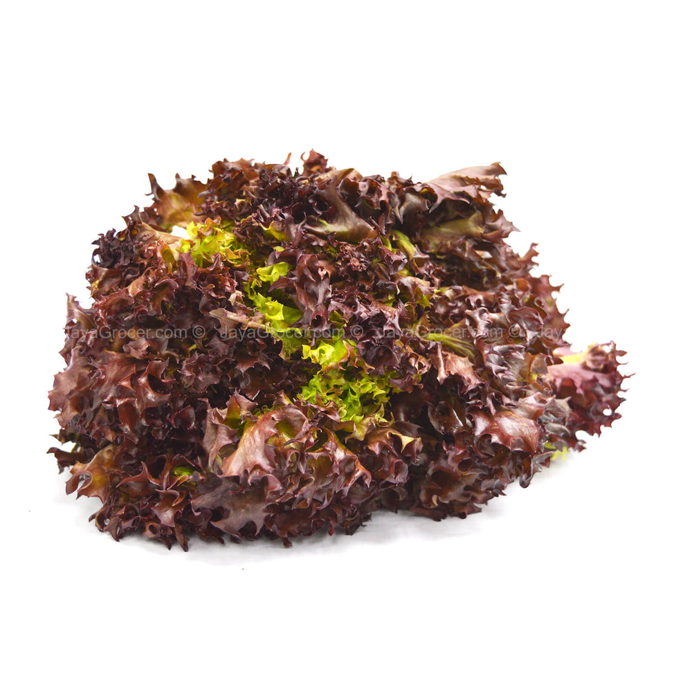 Red Coral Lettuce (Lollo Rosso) 170g