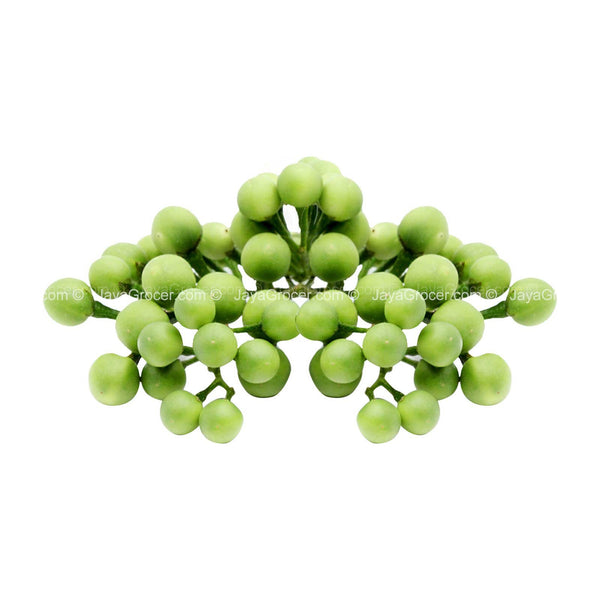 Terung Pipit (Pea Eggplant)
