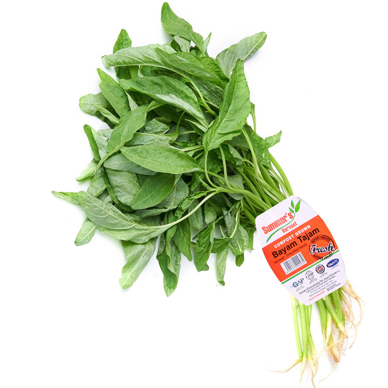Summer Harvest Sharp Spinach (Bayam Tajam) 250g